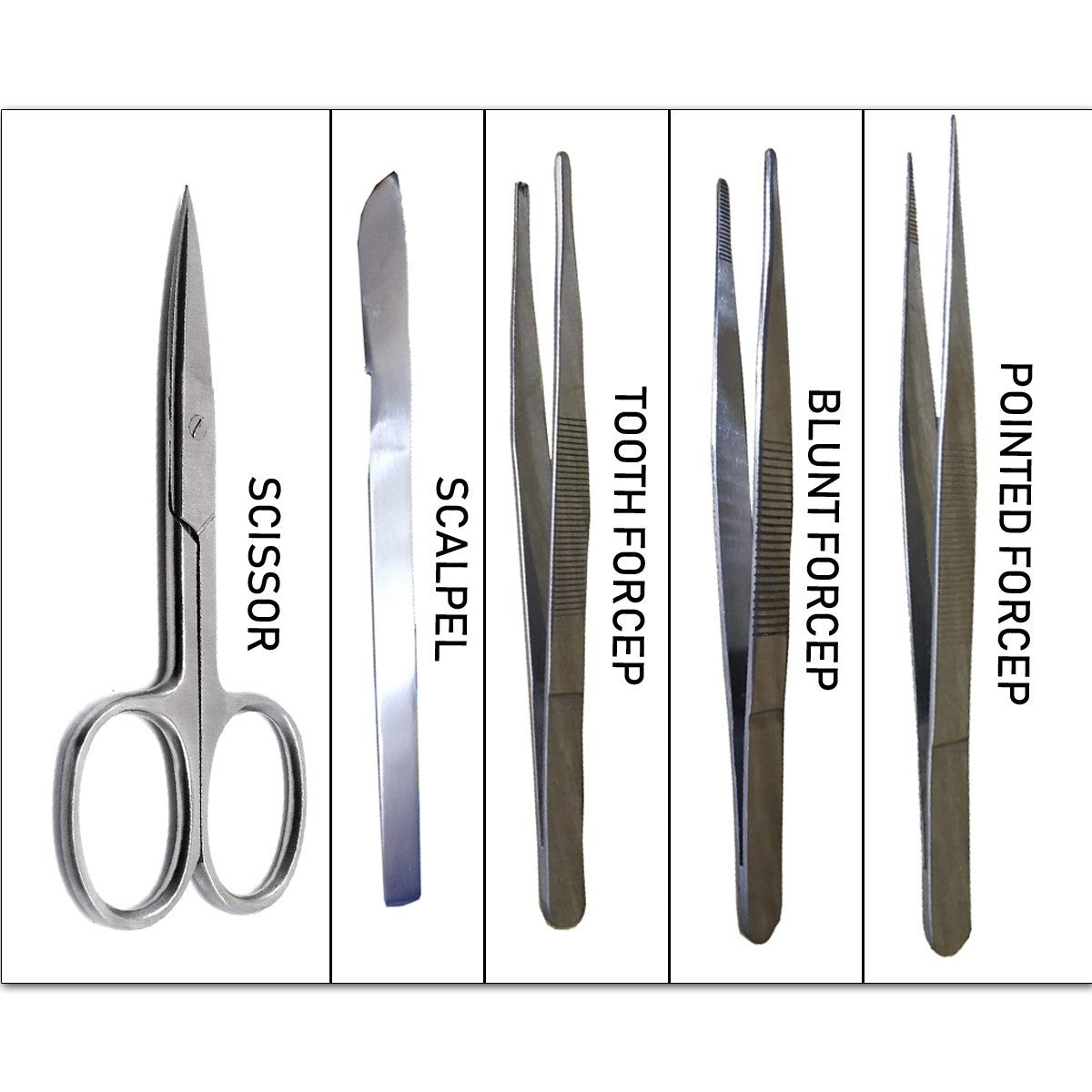 INDIAN DISSECTION KIT